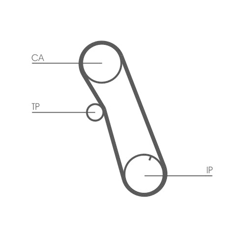CONTINENTAL CTAM Zahnriemen