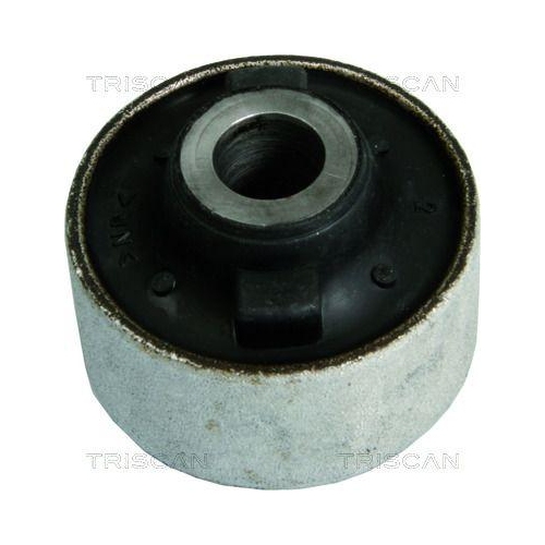 TRISCAN Lagerung, Lenker