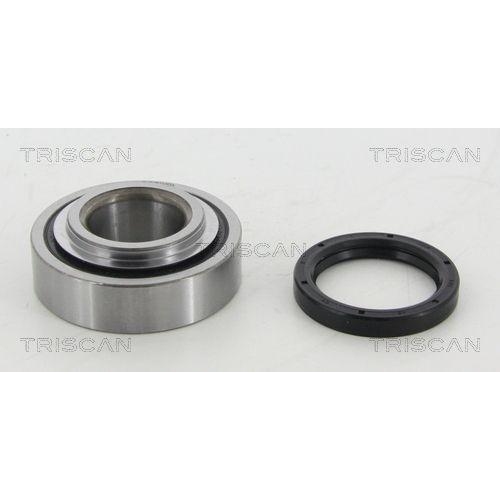 TRISCAN Radlagersatz