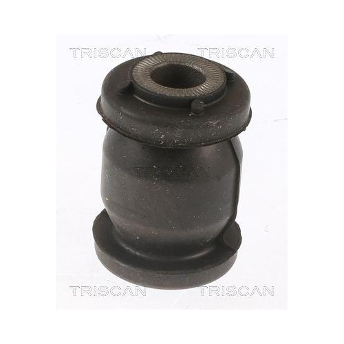 TRISCAN Lagerung, Lenker