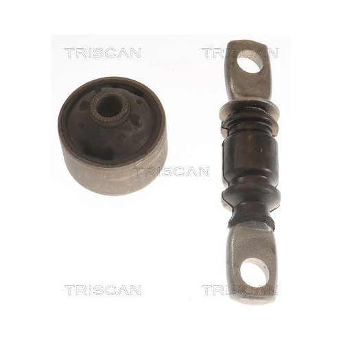 TRISCAN Lagerung, Lenker