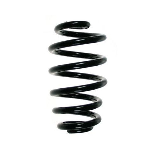 SPIDAN Fahrwerksfeder