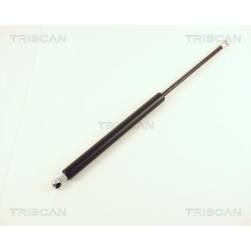 TRISCAN Gasfeder, Koffer-/Laderaum