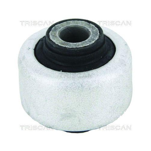 TRISCAN Lagerung, Lenker