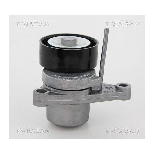 TRISCAN Riemenspanner, Keilrippenriemen
