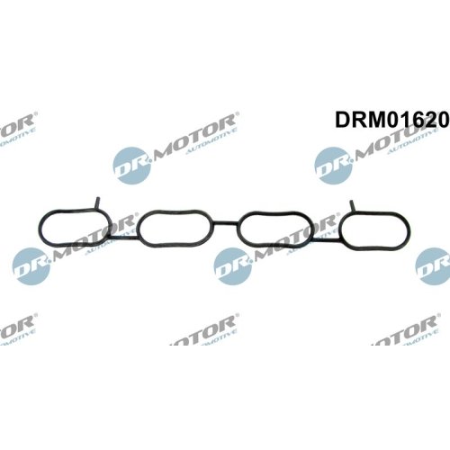 Dr.Motor Automotive Dichtung, Ansaugkrümmer