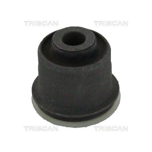 TRISCAN Lagerung, Lenker