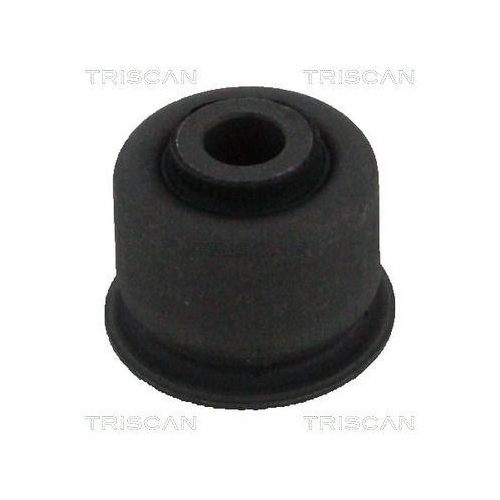 TRISCAN Lagerung, Lenker