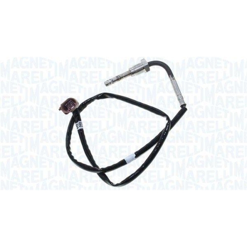 MAGNETI MARELLI Sensor, Abgastemperatur
