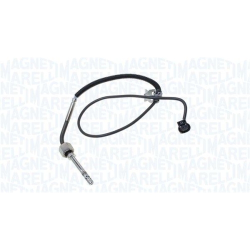 MAGNETI MARELLI Sensor, Abgastemperatur