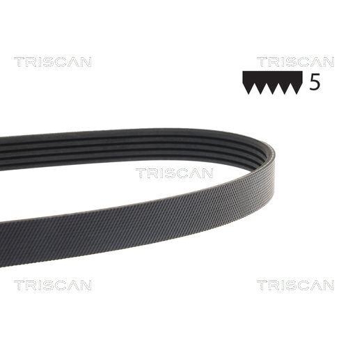 TRISCAN Keilrippenriemen
