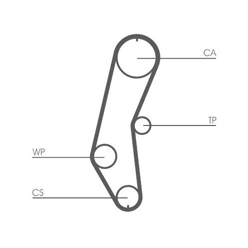 CONTINENTAL CTAM Zahnriemen