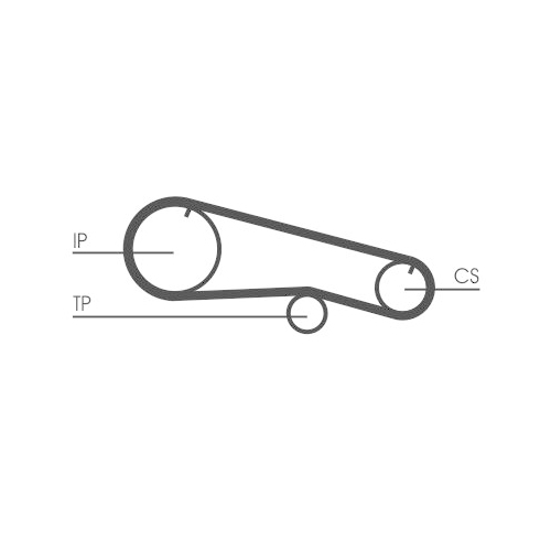 CONTINENTAL CTAM Zahnriemen