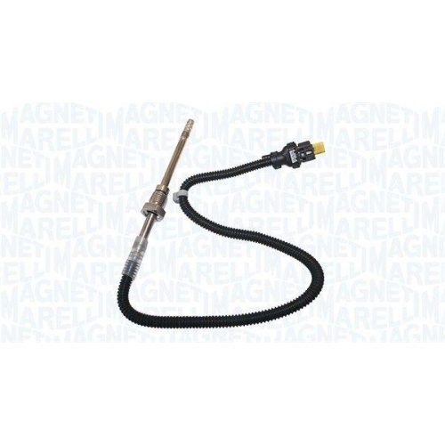 MAGNETI MARELLI Sensor, Abgastemperatur