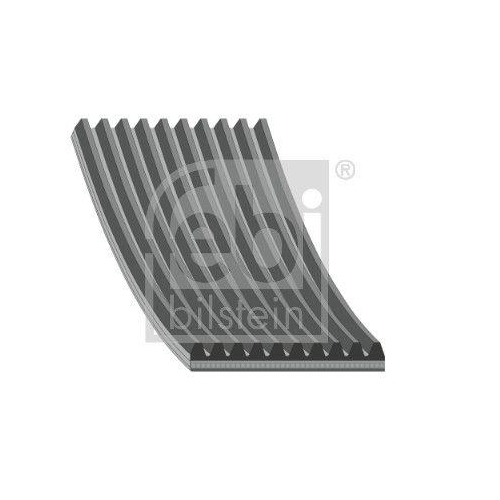 FEBI BILSTEIN Keilrippenriemen
