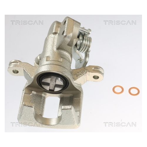 TRISCAN Bremssattel