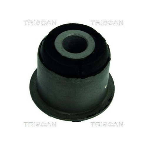 TRISCAN Lagerung, Lenker