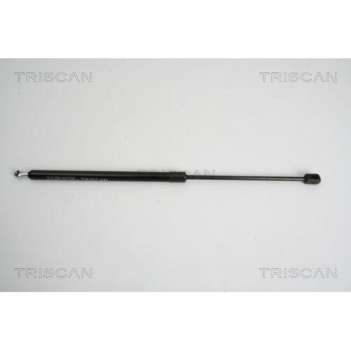 TRISCAN Gasfeder, Koffer-/Laderaum