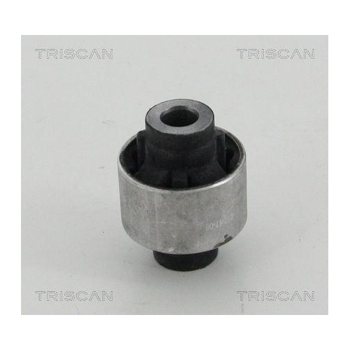 TRISCAN Lagerung, Lenker