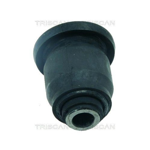 TRISCAN Lagerung, Lenker