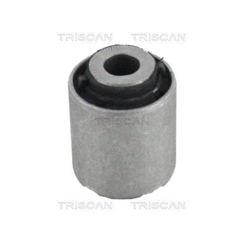 TRISCAN Lagerung, Lenker