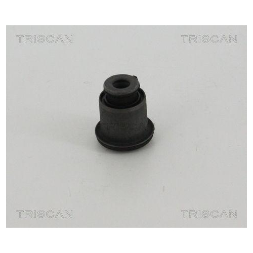 TRISCAN Lagerung, Lenker