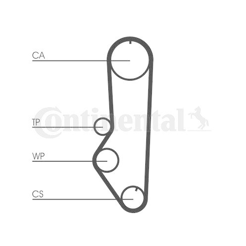 CONTINENTAL CTAM Zahnriemen