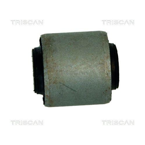 TRISCAN Lagerung, Lenker