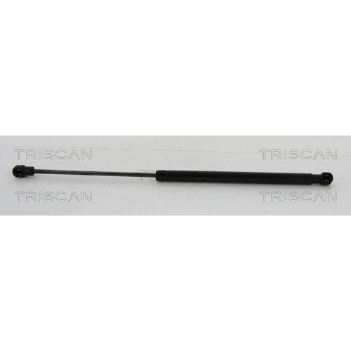 TRISCAN Gasfeder, Koffer-/Laderaum