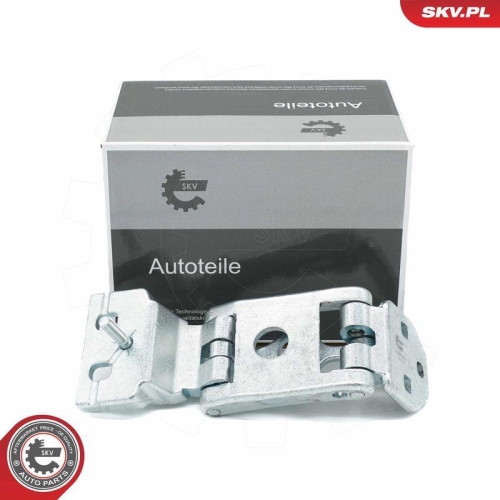 ESEN SKV Türscharnier