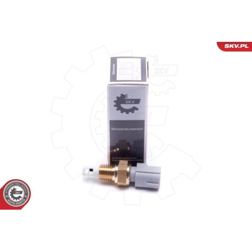 ESEN SKV Sensor, Ansauglufttemperatur