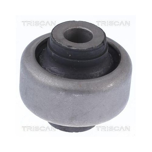 TRISCAN Lagerung, Lenker