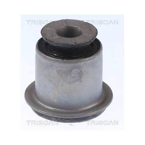 TRISCAN Lagerung, Lenker