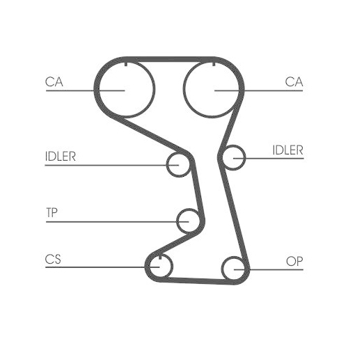 CONTINENTAL CTAM Zahnriemen