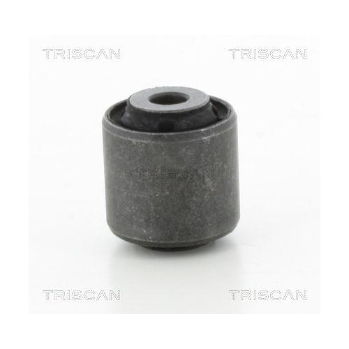 TRISCAN Lagerung, Lenker