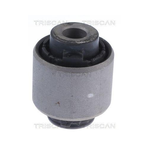 TRISCAN Lagerung, Lenker