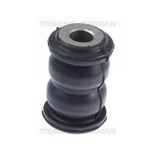 TRISCAN Lagerung, Lenker