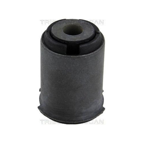 TRISCAN Lagerung, Lenker