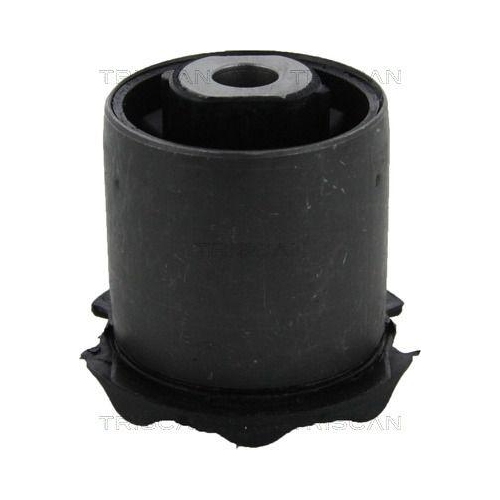 TRISCAN Lagerung, Lenker