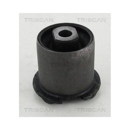 TRISCAN Lagerung, Lenker