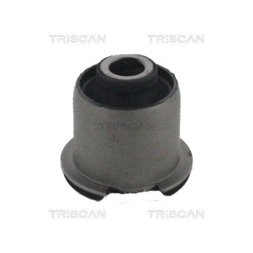 TRISCAN Lagerung, Lenker