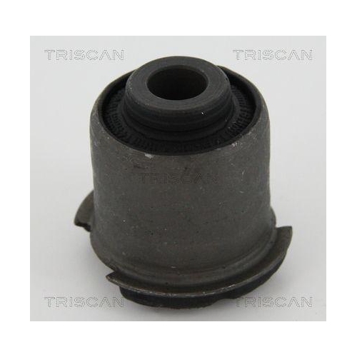 TRISCAN Lagerung, Lenker