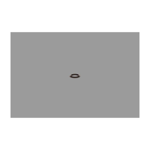 BOSCH Dichtring, D&uuml;senhalter