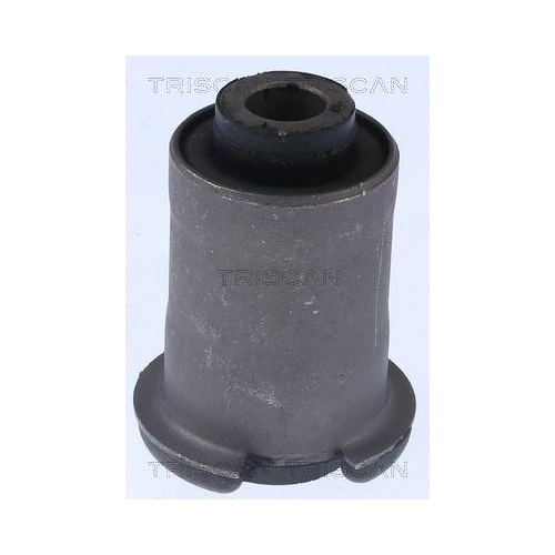 TRISCAN Lagerung, Lenker