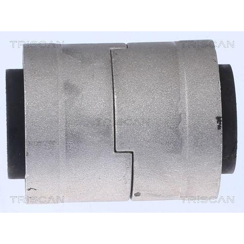 TRISCAN Lagerung, Lenker