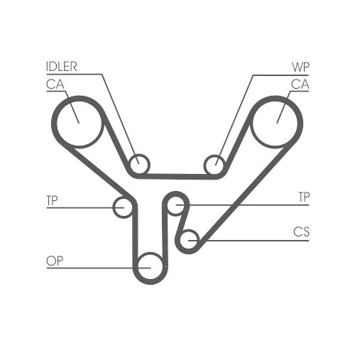 CONTINENTAL CTAM Zahnriemen