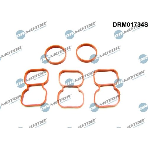 Dr.Motor Automotive Dichtung, Zylinderkopf