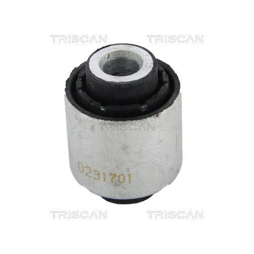 TRISCAN Lagerung, Lenker