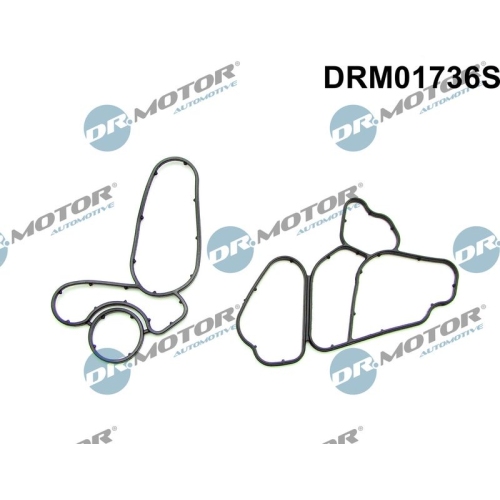 Dr.Motor Automotive Dichtungssatz, Ölkühler