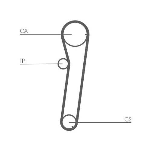 CONTINENTAL CTAM Zahnriemen